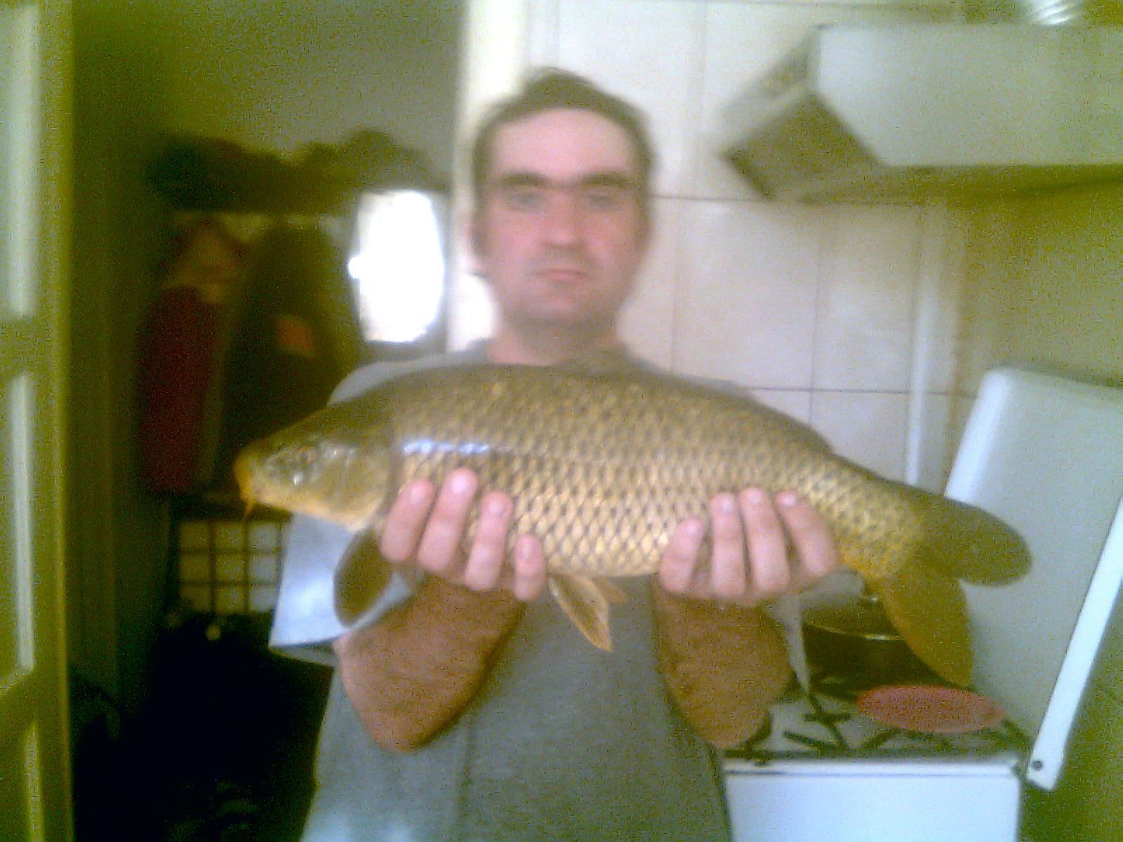 Pleasa 2012 - crap comun  1.8 kg